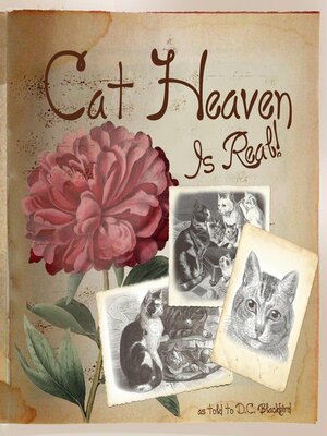 cover image of Cat Heaven Is Real